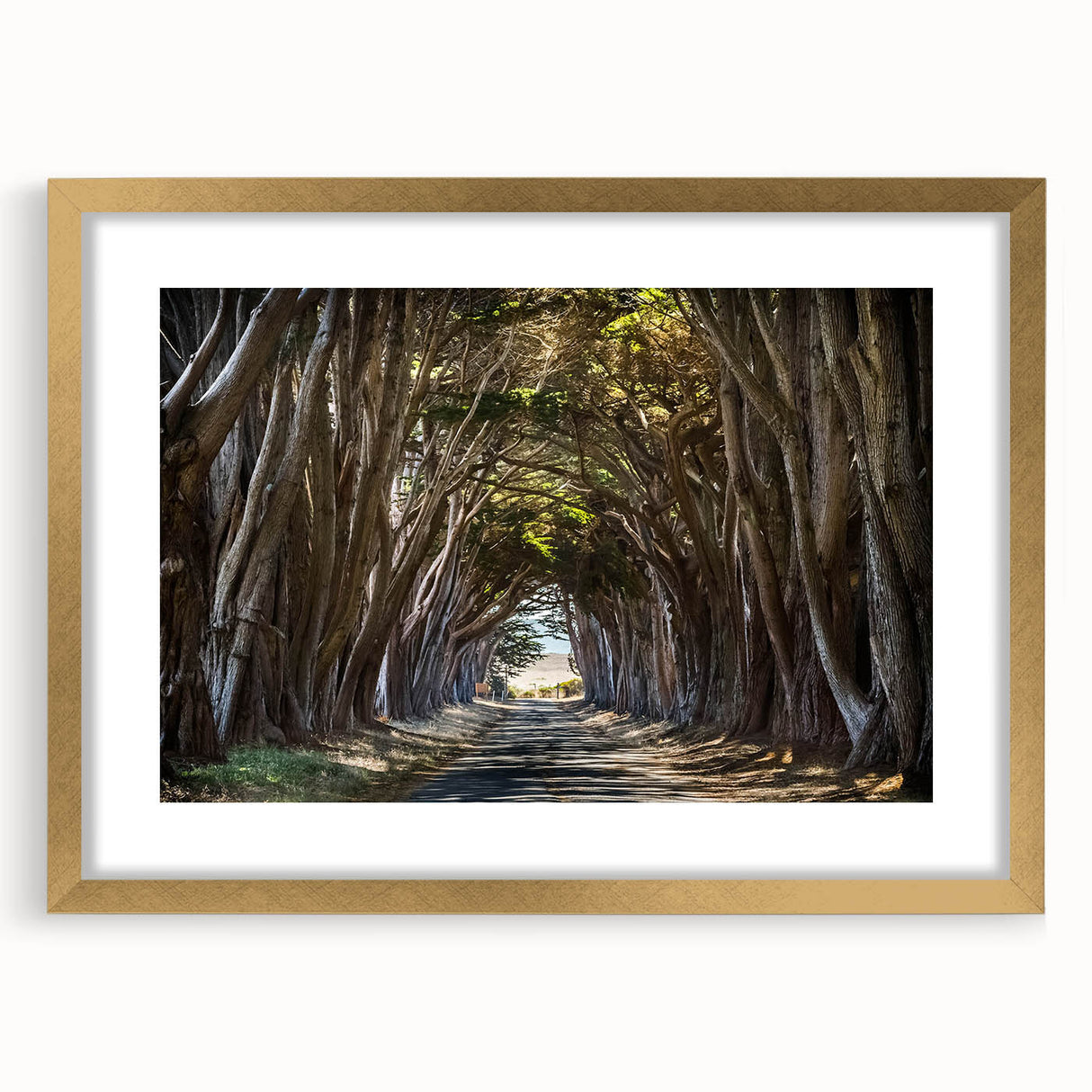 Framed landscape wall art collection featuring elegant trees design in a gold frame with a white mat, ideal for home decor. Perfect for nature enthusiasts.