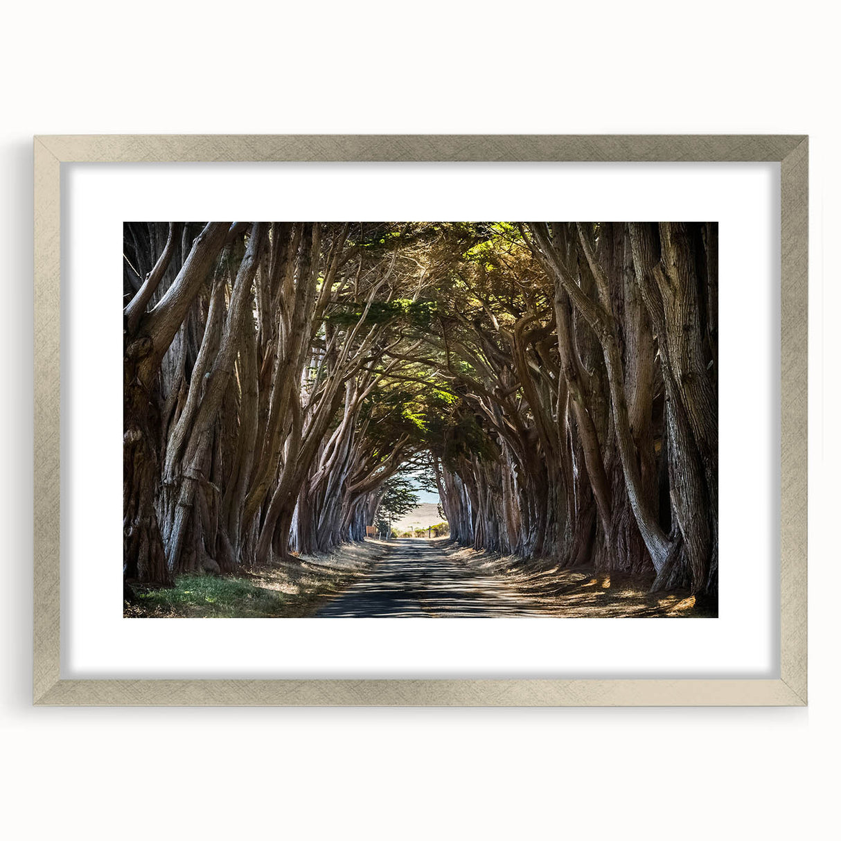 Framed silver wall art featuring a serene landscape with trees, elegantly matted, perfect for enhancing modern home decor. Ideal for nature enthusiasts.