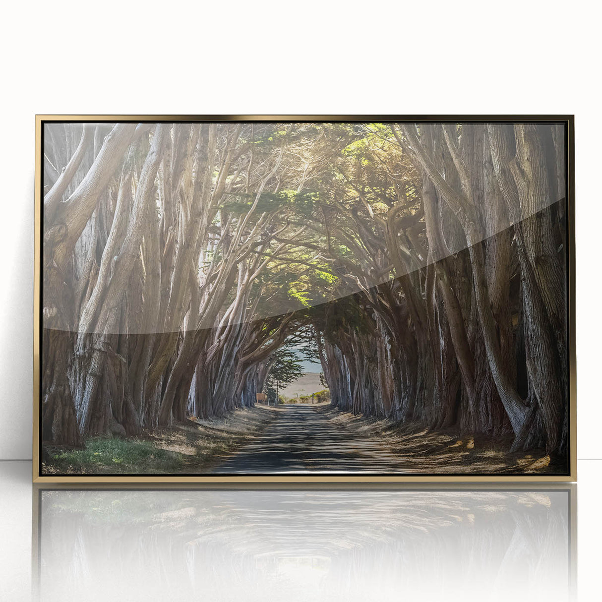 Framed acrylic wall art featuring a vibrant landscape design with trees, showcased in a gold frame, perfect for enhancing modern home decor.