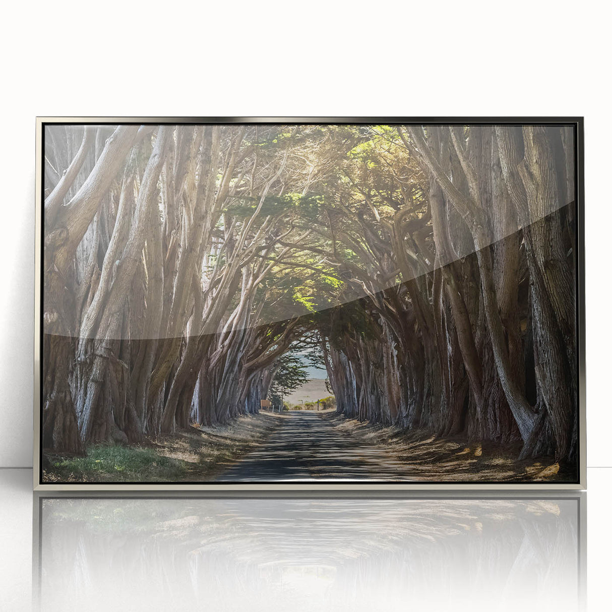 Framed acrylic wall art featuring a serene landscape of trees in muted green and silver tones, perfect for modern home decor. Ideal for nature lovers seeking tranquility.