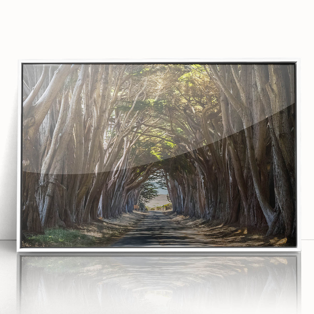 Framed wall art featuring a vibrant landscape design with trees, displayed in a sleek white frame, ideal for home decor and interior design enhancement.