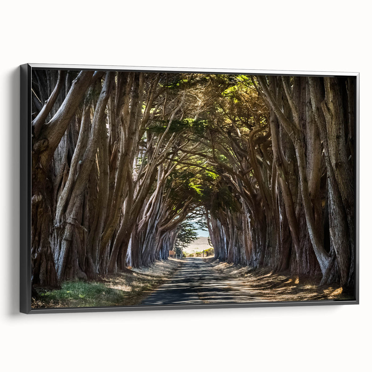 Framed canvas wall art showcasing a serene landscape with trees, featuring a black frame and side view, perfect for enhancing modern home decor.
