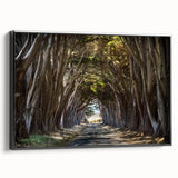 Framed canvas wall art showcasing a serene landscape with trees, featuring a black frame and side view, perfect for enhancing modern home decor.