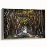 Framed canvas wall art showcasing a serene landscape with tall trees and vibrant colors, featuring a sleek silver frame, perfect for modern home decor.