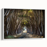 Framed canvas wall art showcasing a serene landscape with vibrant green trees, elegantly displayed against a white background, ideal for home decor.