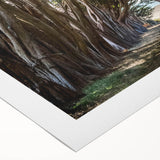 Vibrant rolled canvas artwork showcasing a serene landscape of trees, perfect for home decor, designed to add a natural touch to any space.