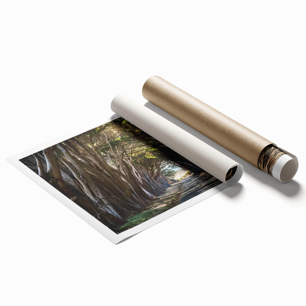 Vibrant rolled print showcasing a serene landscape of lush green trees, ideal for home decor, emphasizing nature's beauty and tranquility. Perfect for enhancing living spaces.
