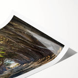 Rolled print showcasing a vibrant landscape design featuring stylized trees and foliage, ideal for modern home decor, packaged securely in a protective cardboard tube.