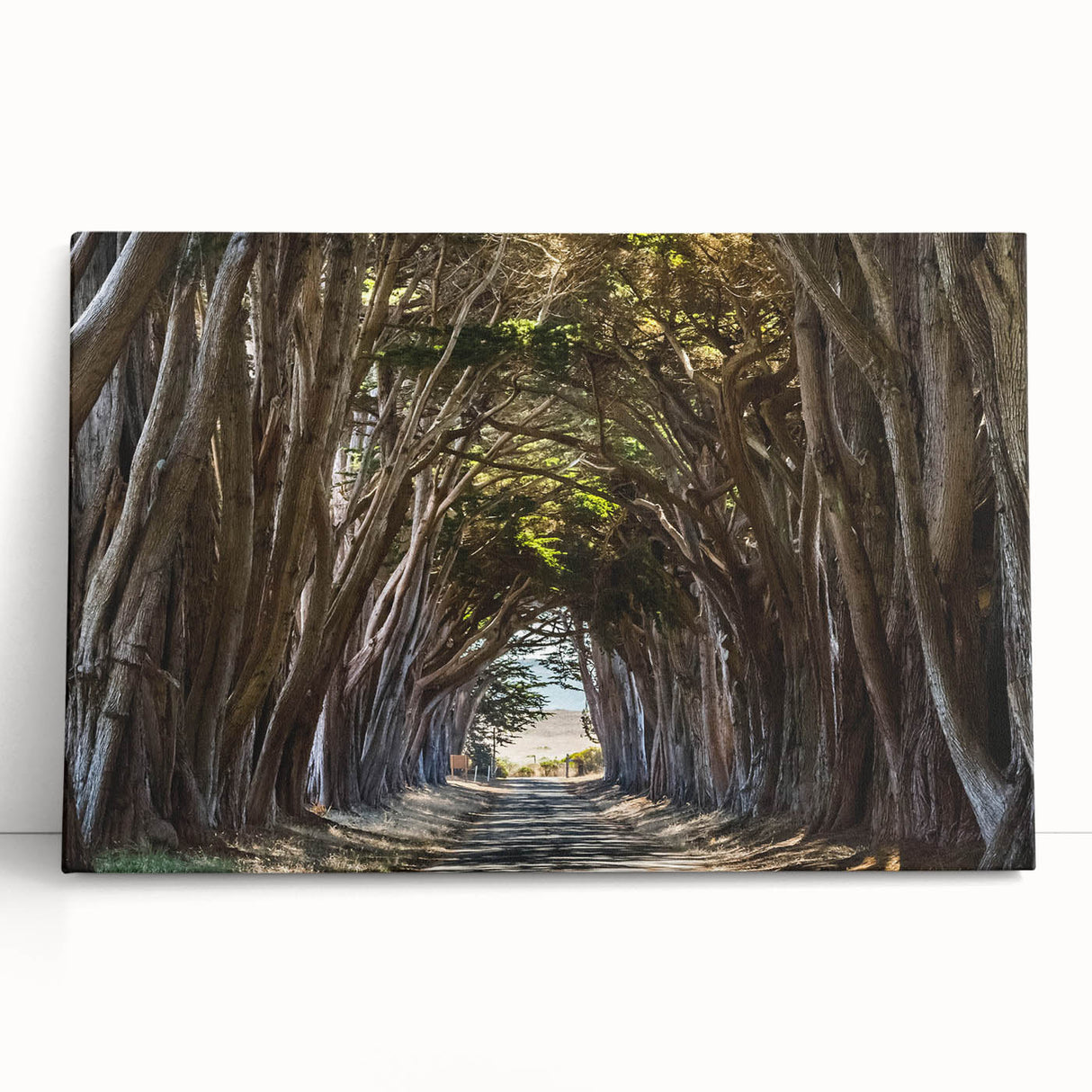 Stretched canvas wall art featuring a serene landscape with lush green trees and a tranquil atmosphere, perfect for enhancing home decor and creating a calming ambiance.