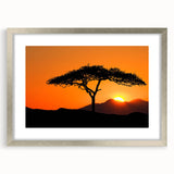 Framed landscape wall art collection showcasing vibrant trees and nature scenes in a sleek silver frame with a mat, perfect for home decor enhancement.