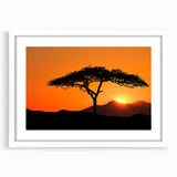 Framed landscape wall art collection featuring vibrant tree designs, set in a sleek white frame with a mat, perfect for modern home decor.