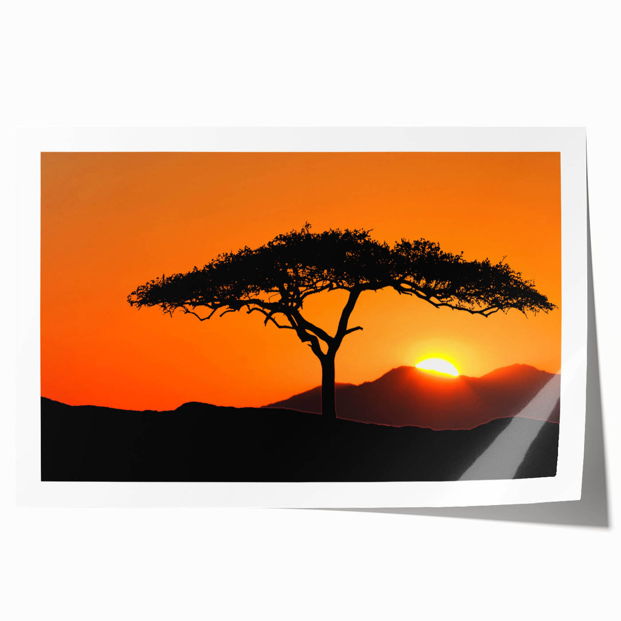 Vibrant rolled print of a landscape featuring lush green trees and serene nature scene, designed for wall art decor, showcasing natural beauty and tranquility.
