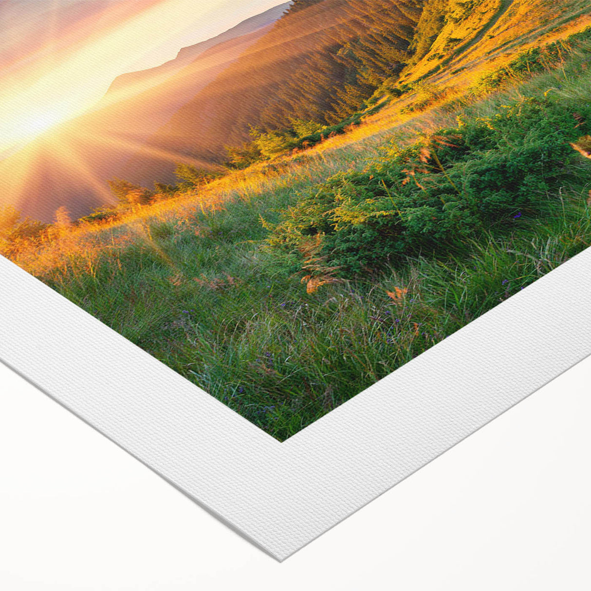 Vibrant rolled canvas wall art depicting a serene valley landscape with lush greenery and rolling hills, ideal for home decor. The artwork showcases rich colors and intricate details, perfect for nature enthusiasts.