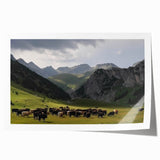 Serene valley landscape wall art print showcasing lush green hills, a clear blue sky, and gentle sunlight, ideal for home décor or office spaces.