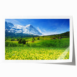 Vibrant rolled wall art print showcasing a serene valley landscape with lush greenery and dramatic mountains, designed to enhance any living space decor.