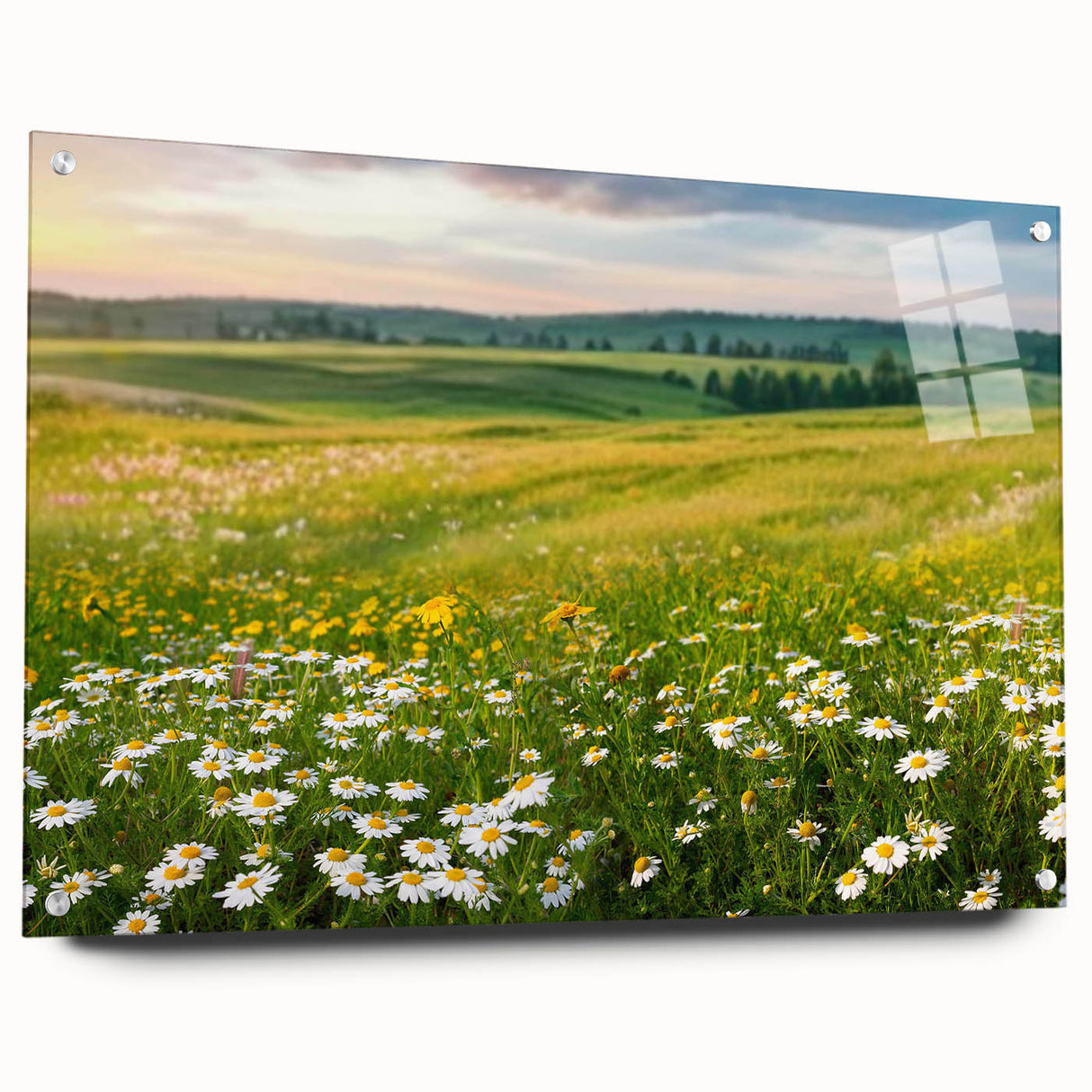 Acrylic glass wall art featuring a vibrant valley landscape design, showcasing rich colors and intricate details. Displayed with pins, ideal for modern decor.