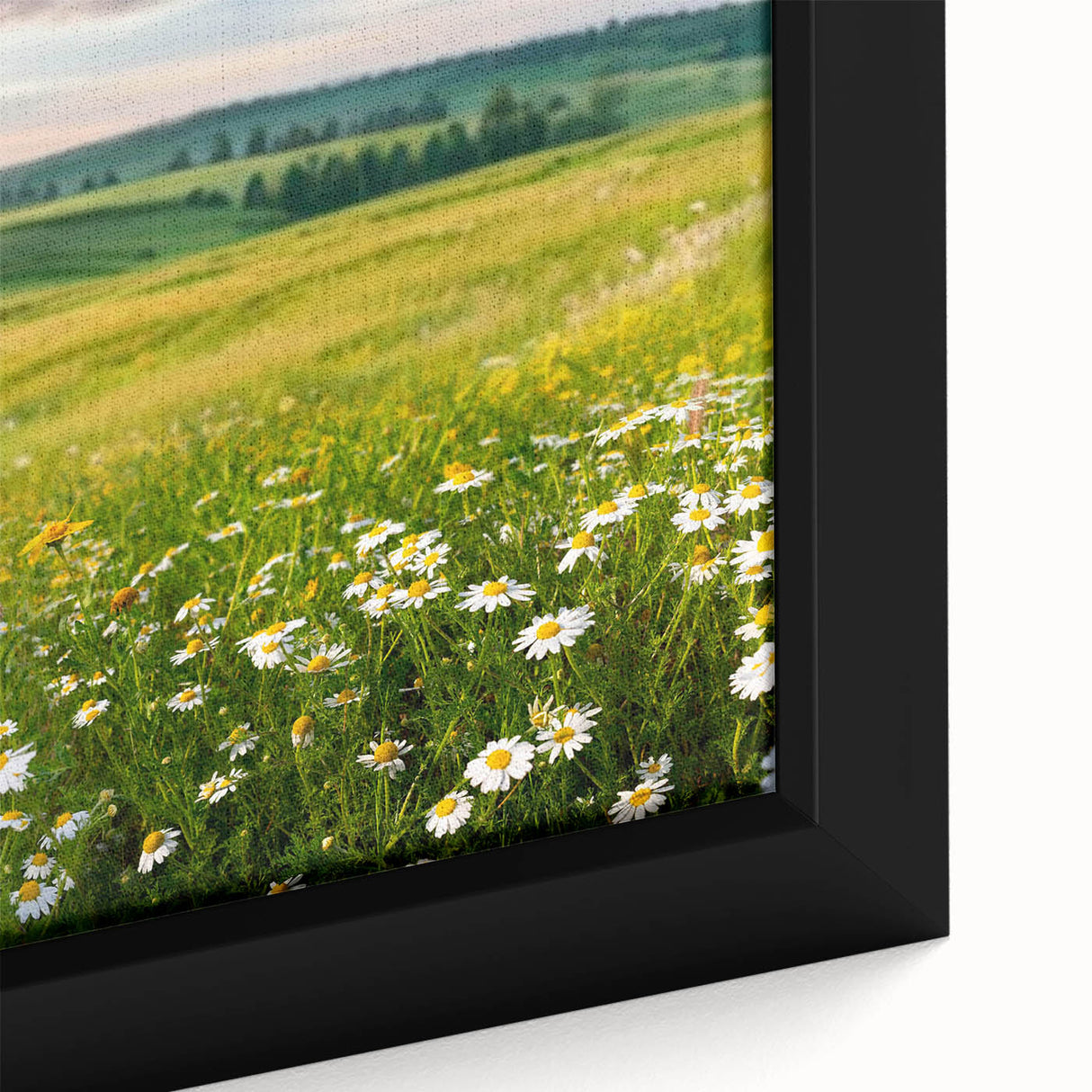 Framed canvas close-up of a vibrant landscape valley design wall art collection, showcasing rich colors and intricate details, perfect for home decor.