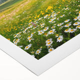 Rolled canvas artwork showcasing a serene valley landscape design, featuring vibrant colors and intricate details, elegantly packaged in a protective cardboard tube for decor enthusiasts.