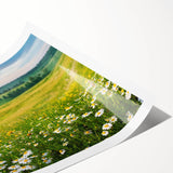 Vibrant rolled canvas print depicting a serene valley landscape with lush greenery and rolling hills, ideal for home decor, packaged securely in a protective tube.