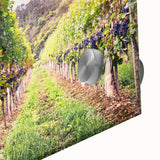 Close-up of a vibrant acrylic glass wall art piece featuring a picturesque vineyard landscape, showcasing lush green vines and rolling hills under a clear blue sky. Perfect for enhancing home decor with a touch of nature's beauty.