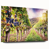 Acrylic glass wall art collection showcasing a vibrant vineyard landscape design, viewed from the side with a sleek finish, perfect for home decor.