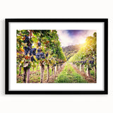 Framed wall art showcasing a picturesque vineyard landscape design, featuring lush green vines and rolling hills, with a stylish black frame and mat. Ideal for home decor.