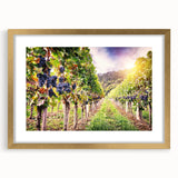 Framed wall art showcasing a vibrant vineyard landscape design with gold matting, perfect for adding elegance and warmth to any room decor.