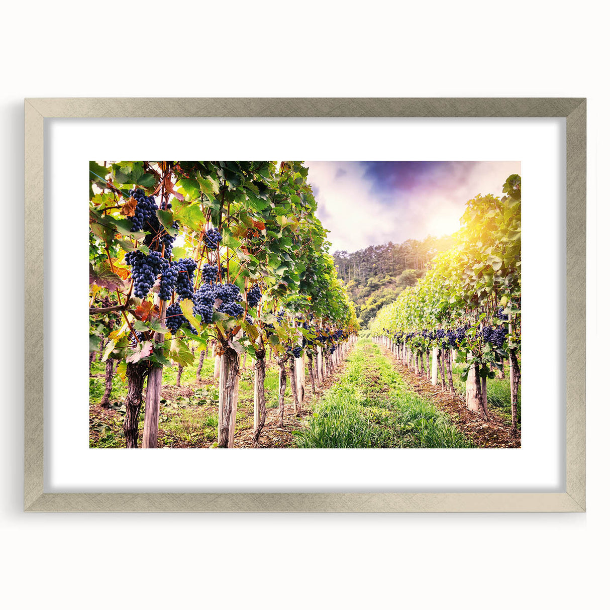 Framed wall art collection showcasing a picturesque vineyard landscape design, featuring a silver mat and frame, ideal for enhancing home decor with a touch of elegance.