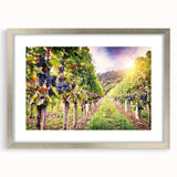 Framed wall art collection showcasing a picturesque vineyard landscape design, featuring a silver mat and frame, ideal for enhancing home decor with a touch of elegance.