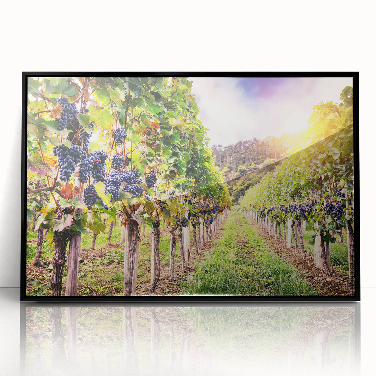 Framed acrylic wall art showcasing a picturesque vineyard landscape design, featuring vibrant green grapevines and rolling hills, ideal for enhancing home décor.