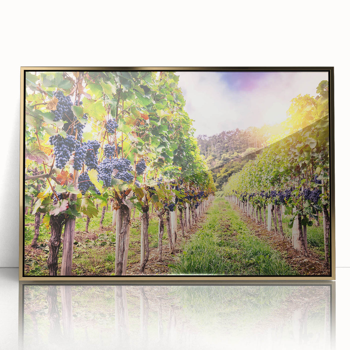 Framed acrylic wall art showcasing a vibrant vineyard landscape design with gold accents, ideal for enhancing home decor with a touch of elegance and nature's beauty.
