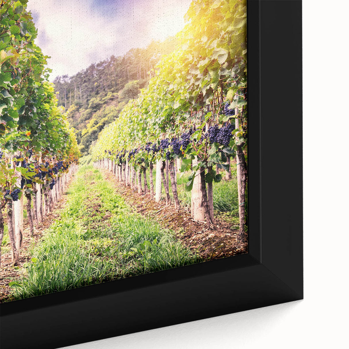Framed canvas wall art showcasing a vibrant vineyard landscape design, featuring rich greens and golden hues, perfect for enhancing home decor with nature-inspired aesthetics.