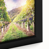 Framed canvas wall art showcasing a vibrant vineyard landscape design, featuring rich greens and golden hues, perfect for enhancing home decor with nature-inspired aesthetics.