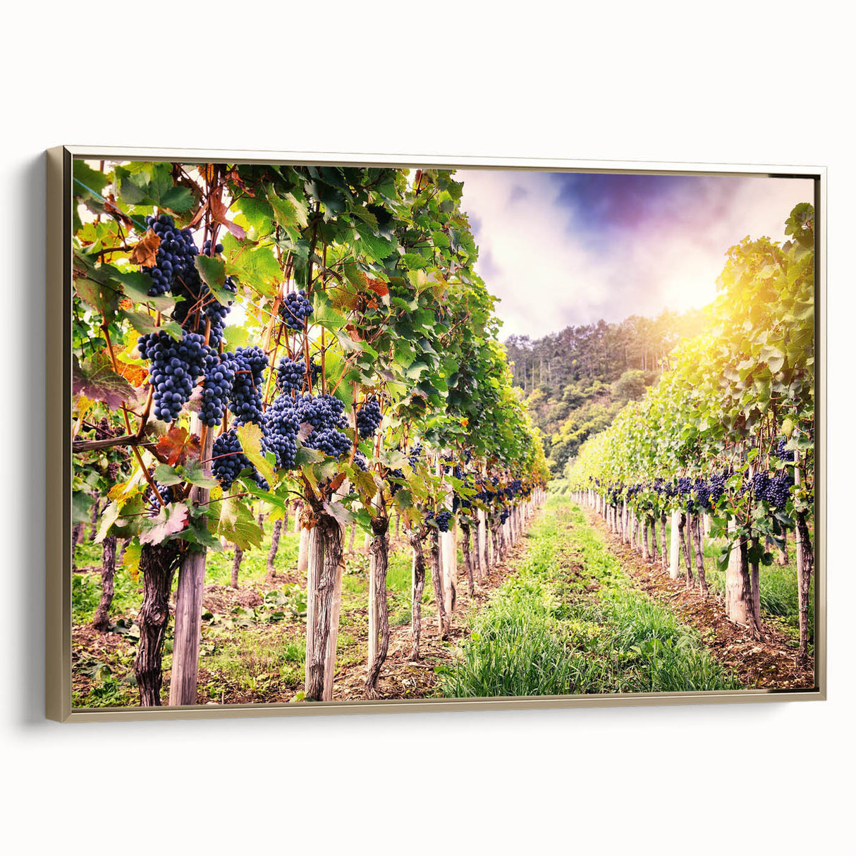Framed wall art showcasing a stunning vineyard landscape design on canvas, featuring rich green vines and a golden frame, perfect for enhancing home decor.