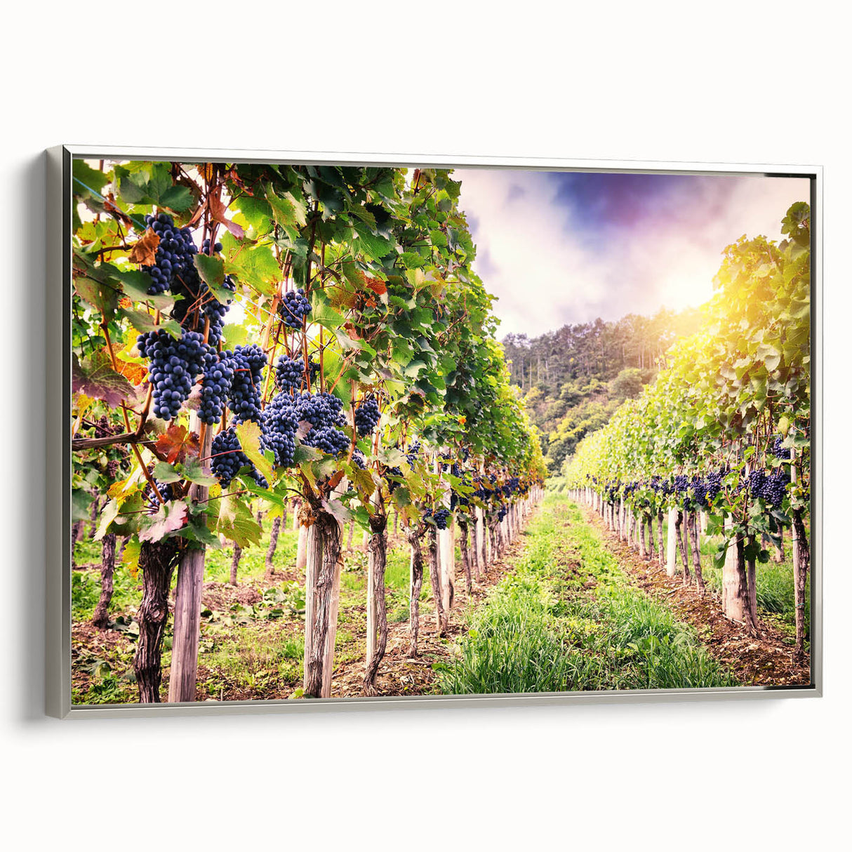 Framed canvas wall art showcasing a serene vineyard landscape design with lush green vines, elegant silver frame, and rich colors, perfect for home decor.