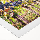 Vibrant rolled canvas wall art depicting a scenic vineyard landscape, featuring lush green vines and rolling hills under a clear blue sky, ideal for home decor.