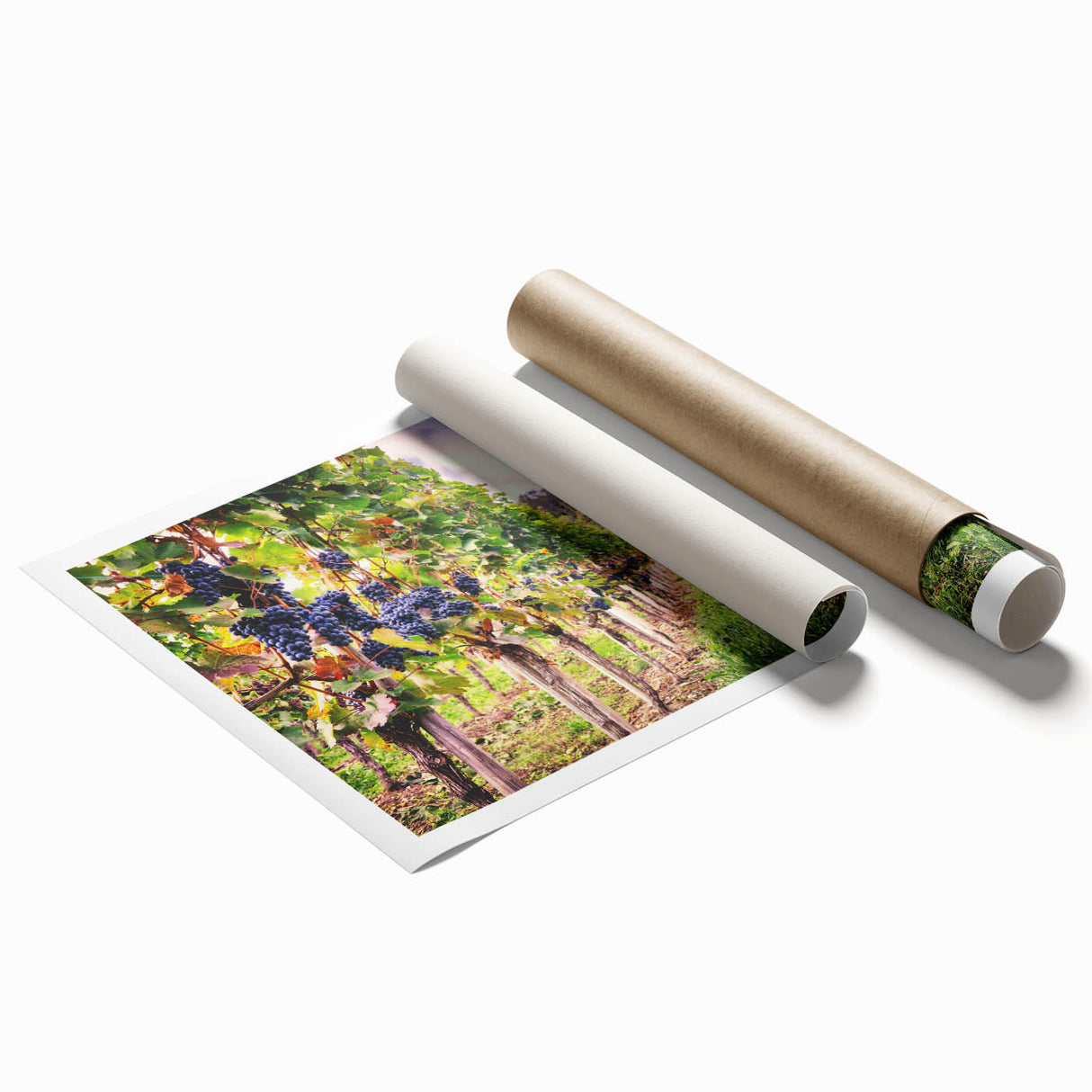 Vibrant rolled print showcasing a picturesque vineyard landscape, featuring lush green vines and a serene sky, perfect for enhancing home decor.