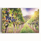 Stretched canvas artwork showcasing a vibrant vineyard landscape with lush green grapevines and rolling hills, perfect for home decor and wine enthusiasts.