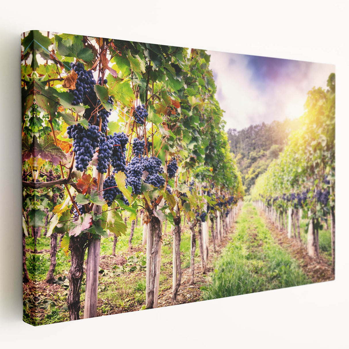 Stretched canvas wall art showcasing a vibrant vineyard landscape design, featuring lush green vines and rolling hills, perfect for enhancing home decor.