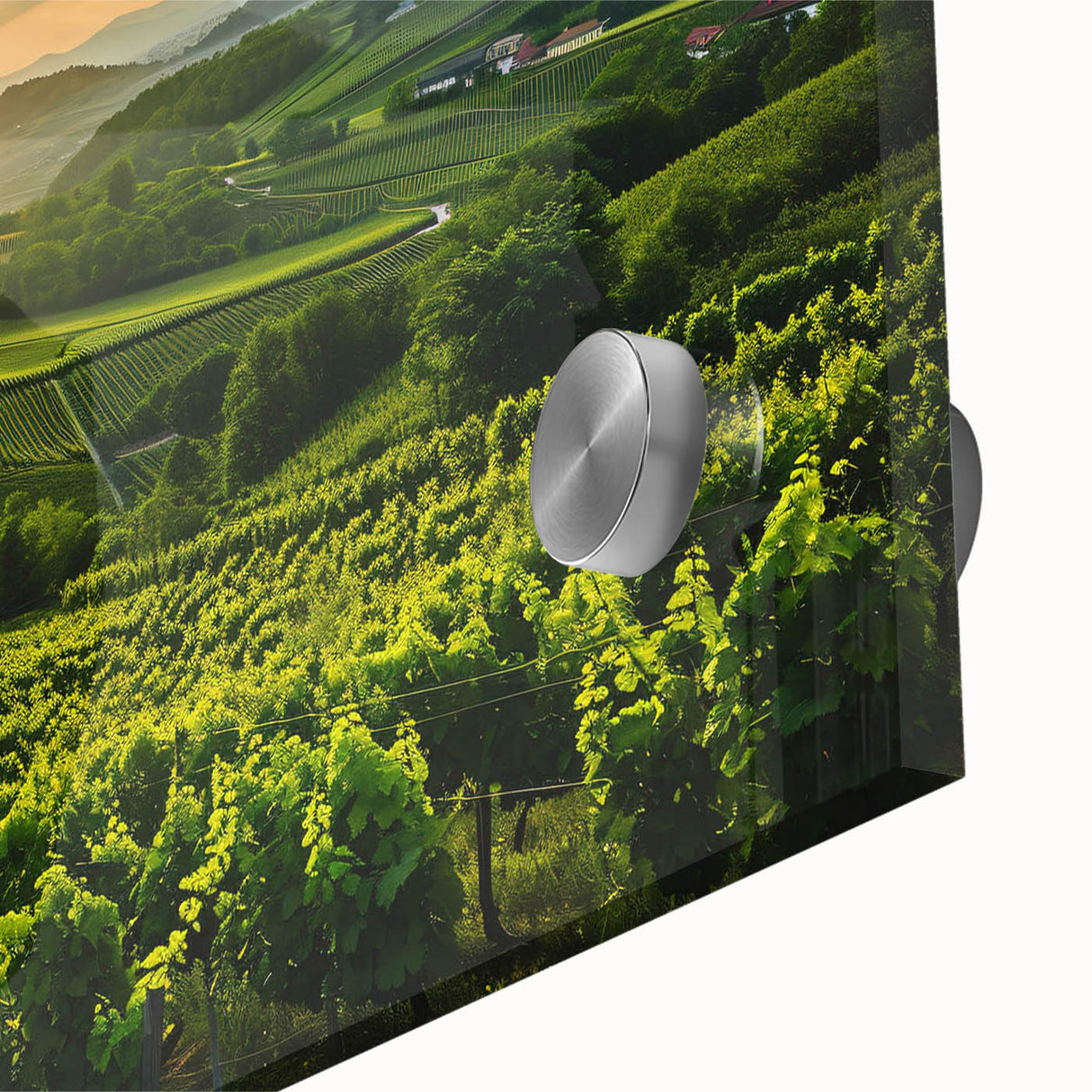 Close-up of a vibrant acrylic glass wall art piece featuring a serene vineyard landscape, showcasing lush green vines and rolling hills, perfect for enhancing home decor.