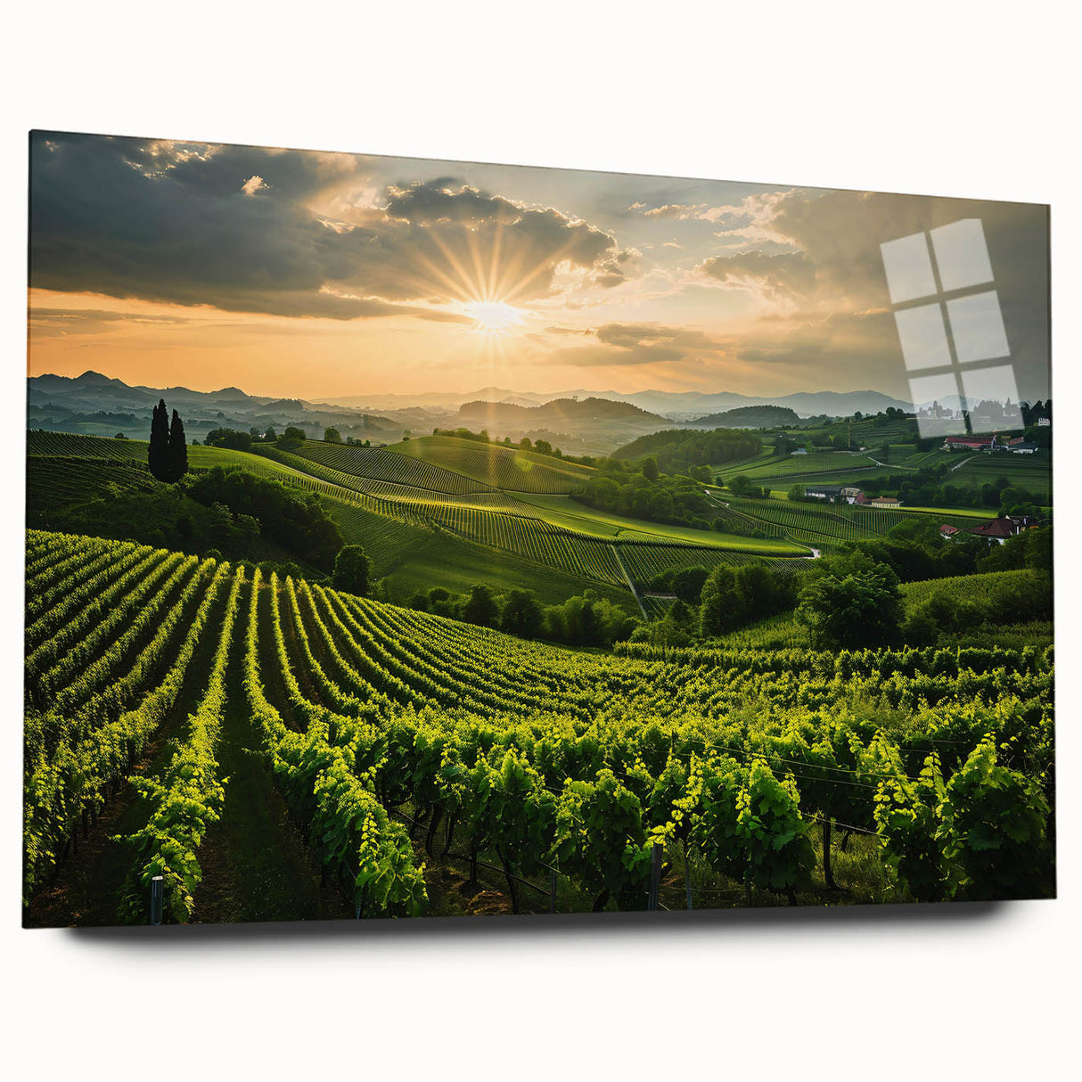 Elegant acrylic wall art showcasing a vibrant vineyard landscape design, displayed in a side view without pins, ideal for enhancing home decor with a touch of nature.