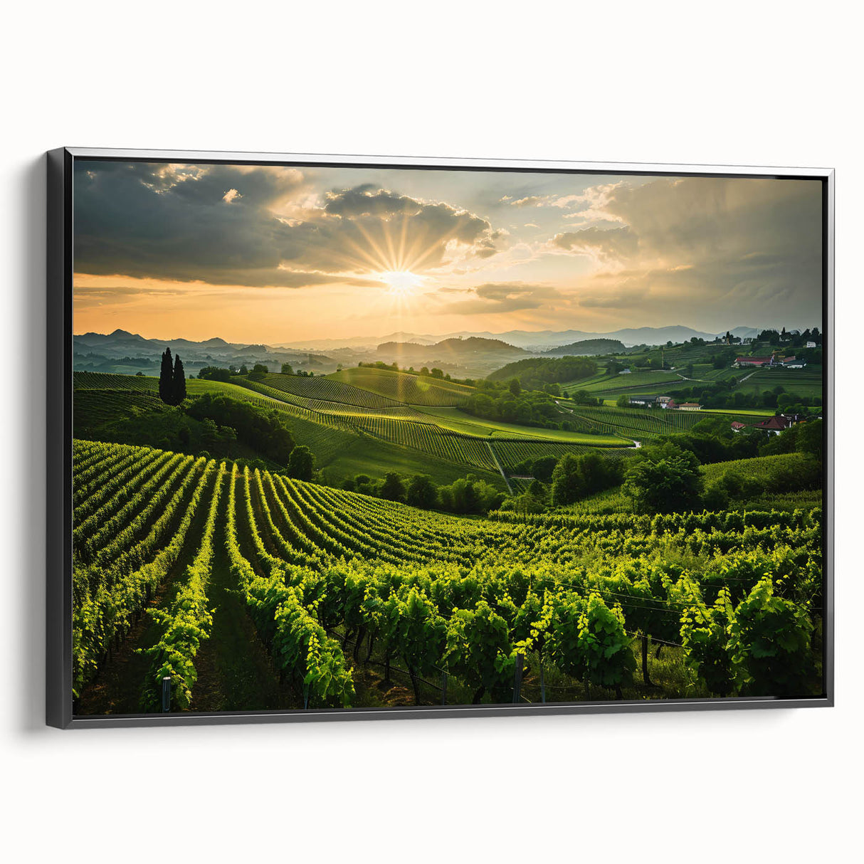 Framed black canvas wall art showcasing a vibrant vineyard landscape design, featuring lush green vines and a serene blue sky, perfect for home decor.