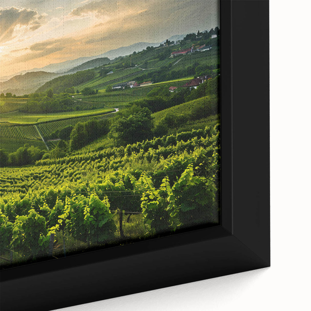 Framed canvas wall art showcasing a vibrant vineyard landscape design, featuring lush green vines and rolling hills under a clear blue sky, perfect for home decoration.