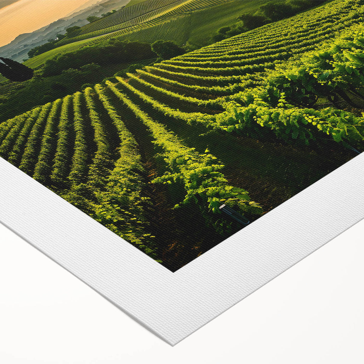 Vibrant vineyard landscape wall art printed on rolled canvas, showcasing lush green grapevines under a clear blue sky, ideal for home decor enthusiasts.