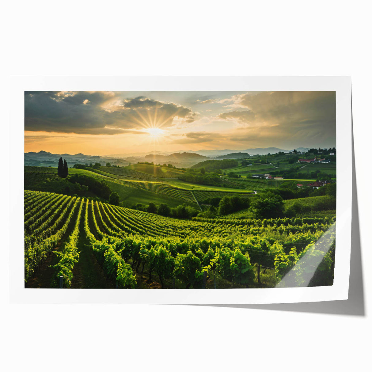 Vibrant landscape vineyard wall art print showcasing lush green grapevines under a clear blue sky, ideal for enhancing home decor and creating a serene atmosphere. Perfect for wine enthusiasts and art collectors seeking to elevate their space with a touch of nature.