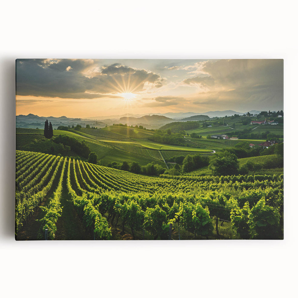 Vibrant stretched canvas wall art showcasing a picturesque vineyard landscape, featuring lush green grapevines under a bright blue sky, ideal for enhancing home decor.