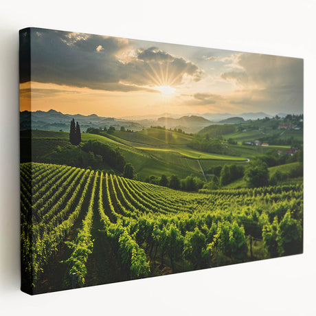 Stretched canvas art showcasing a picturesque vineyard landscape with vibrant green vines under a clear blue sky, perfect for enhancing home decor and creating a serene atmosphere.