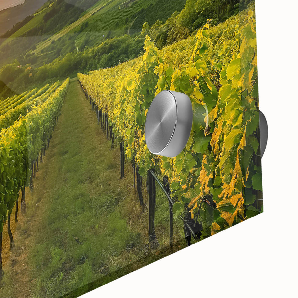 Close-up of a vibrant vineyard landscape design wall art piece, showcasing rich green grapevines and a serene sunset, perfect for home decor and wine enthusiasts.