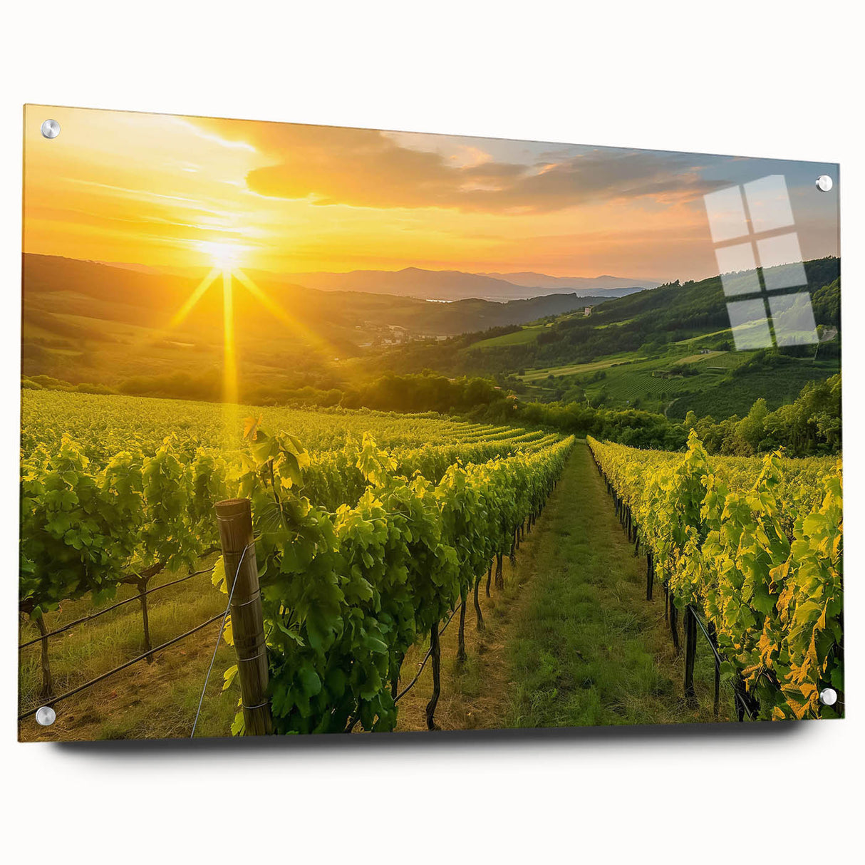 Elegant wall art design showcasing a vineyard landscape printed on acrylic glass, viewed from the side with decorative pins, perfect for enhancing home decor.