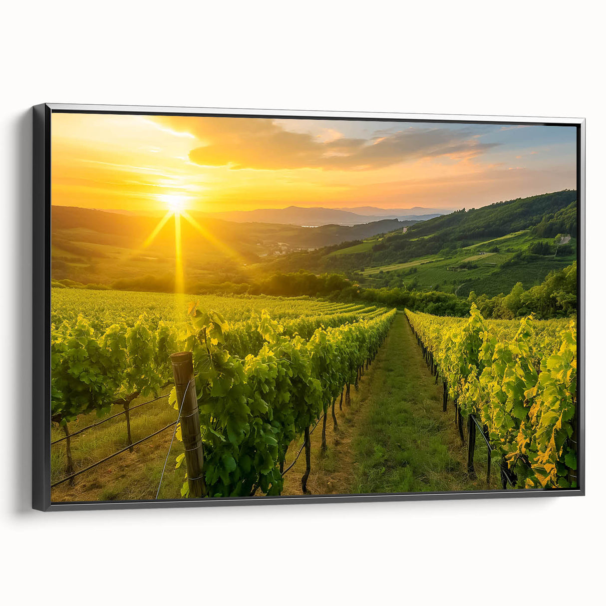 Framed canvas wall art showcasing a vibrant vineyard landscape design with rich green grapevines and rolling hills, presented in a sleek black frame for an elegant touch. Ideal for enhancing home decor with a touch of nature.